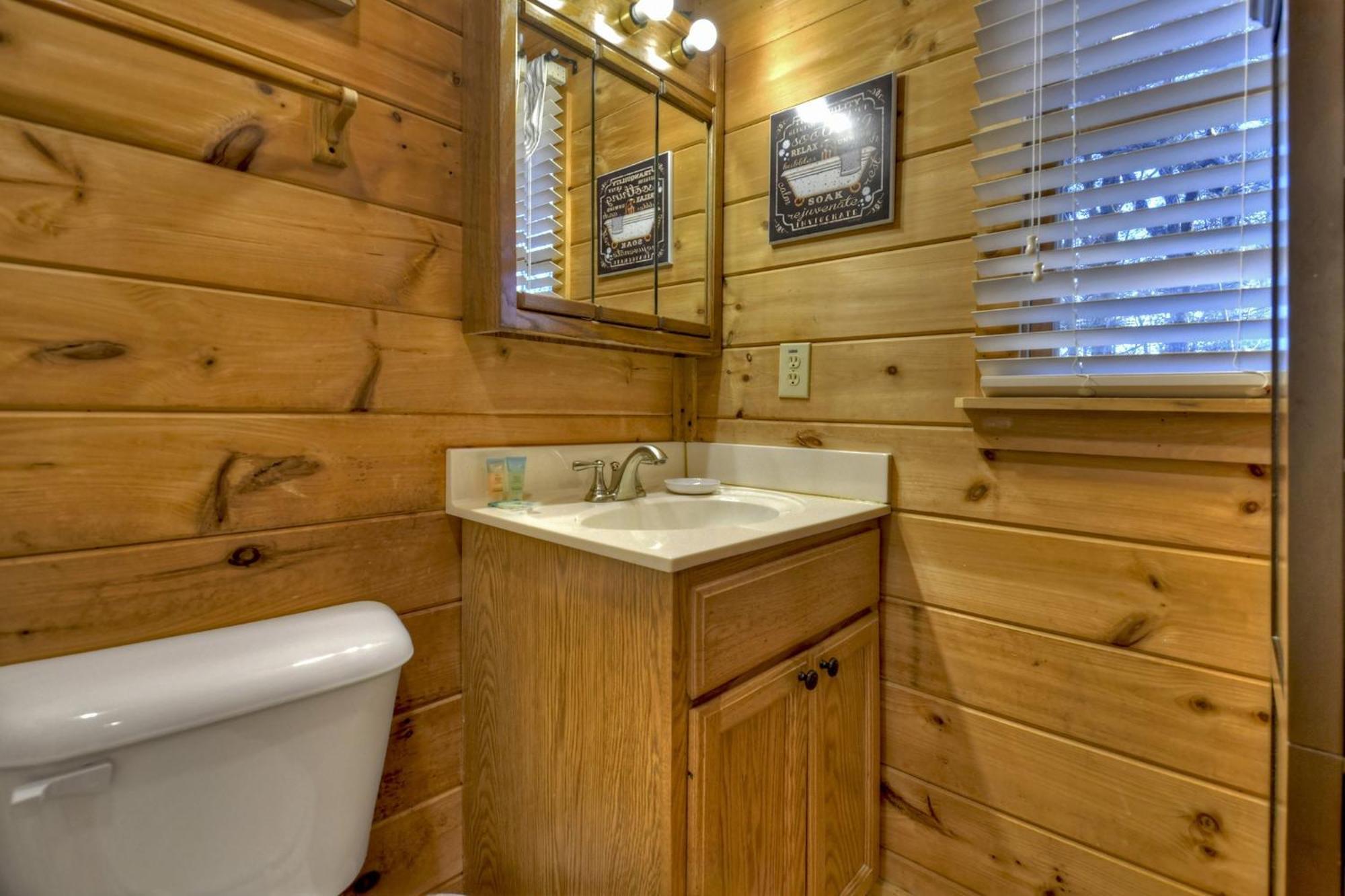Talking Leaves Hot Tub Firepit And Comfy King Beds Villa Ellijay Exterior photo